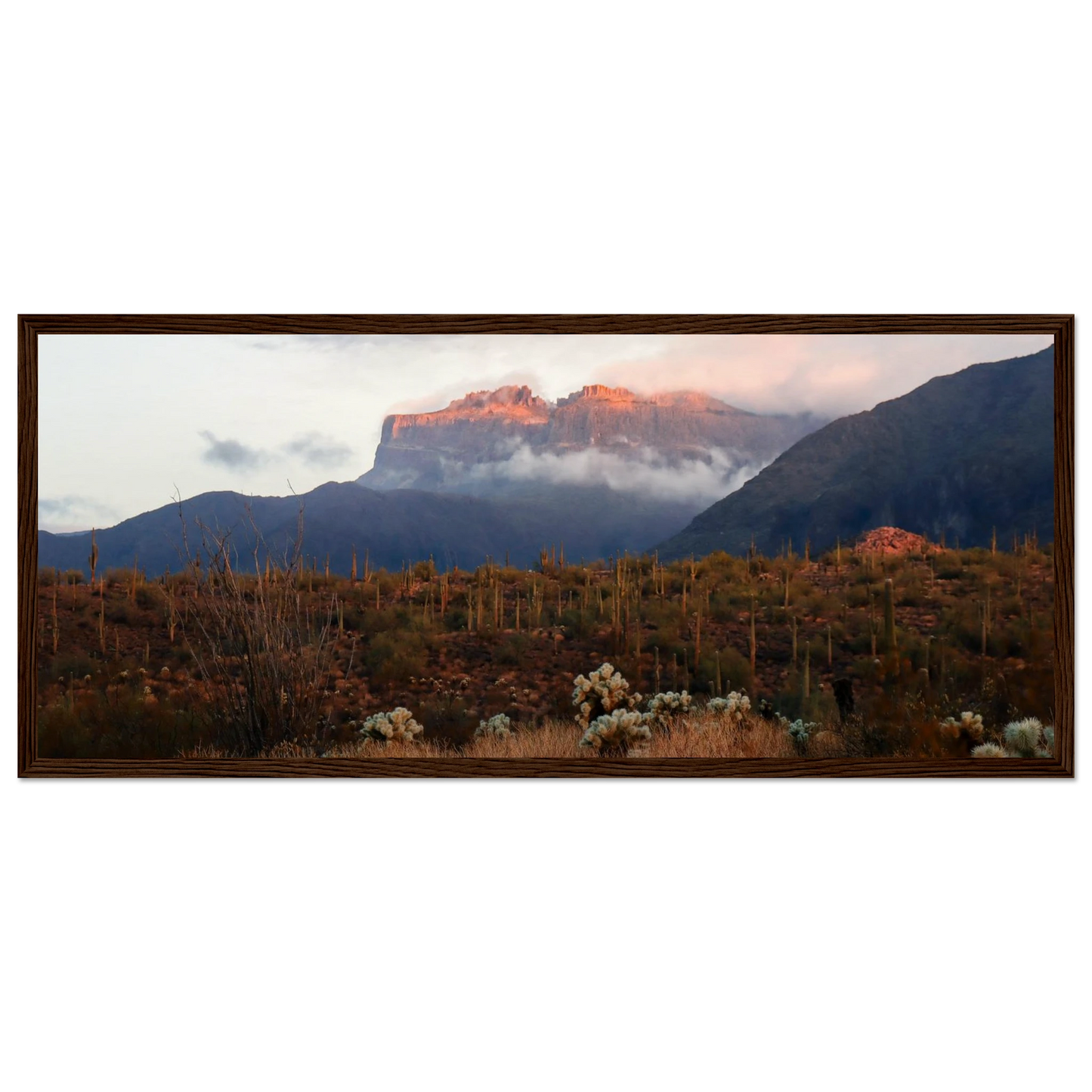 0d38437b-0116-4272-8220-516a1f27e0fd