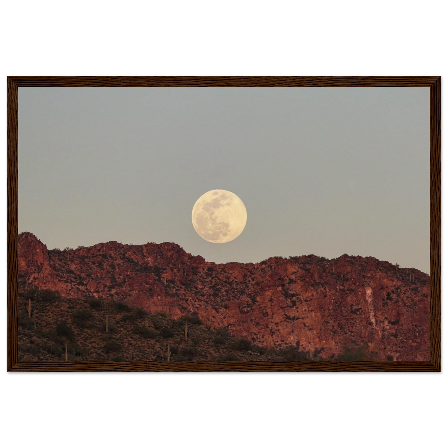 01c7719b-4b6e-4e9c-a32d-691caf7101a6