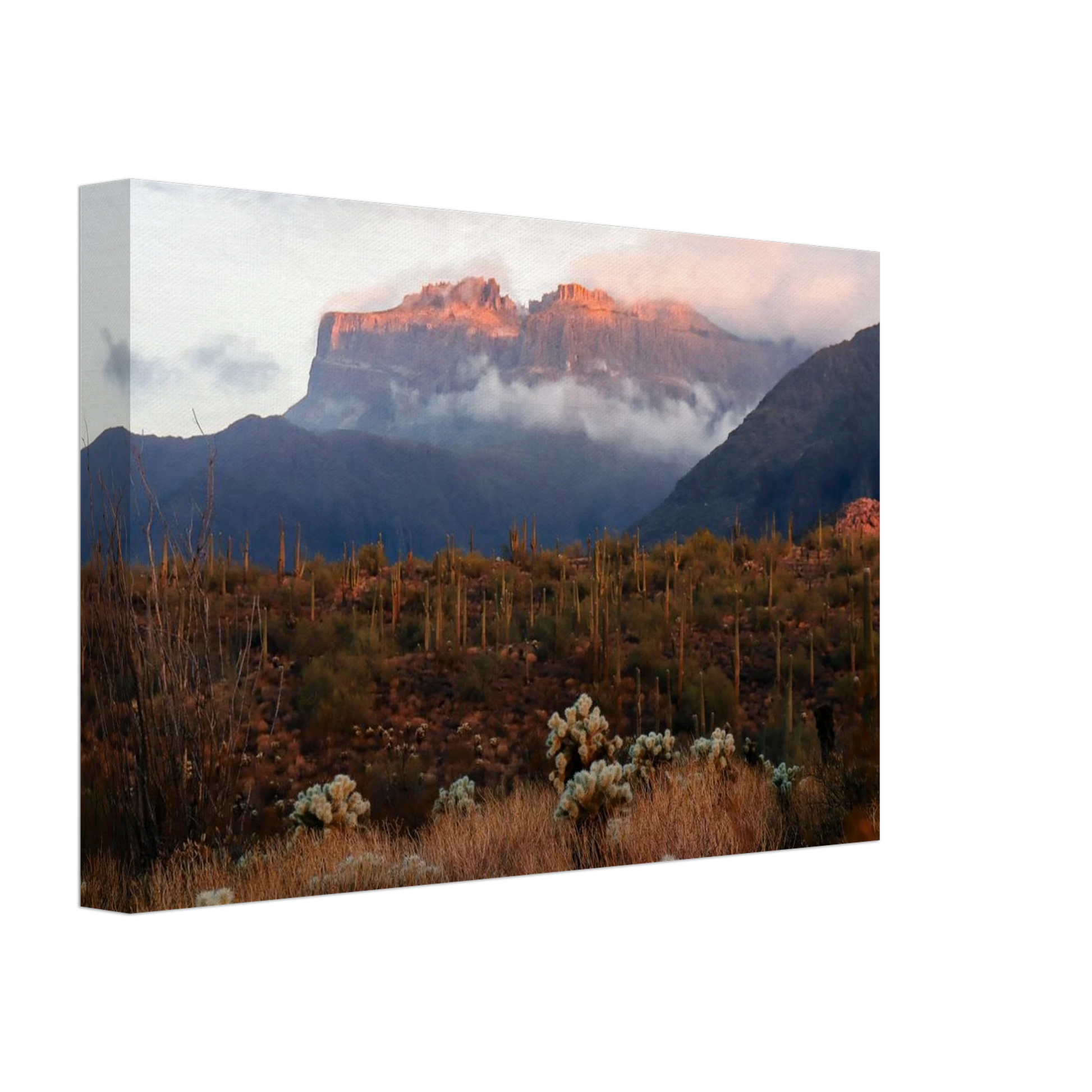 05d4f8f0-9acf-4a28-bd32-0f44a57f785d