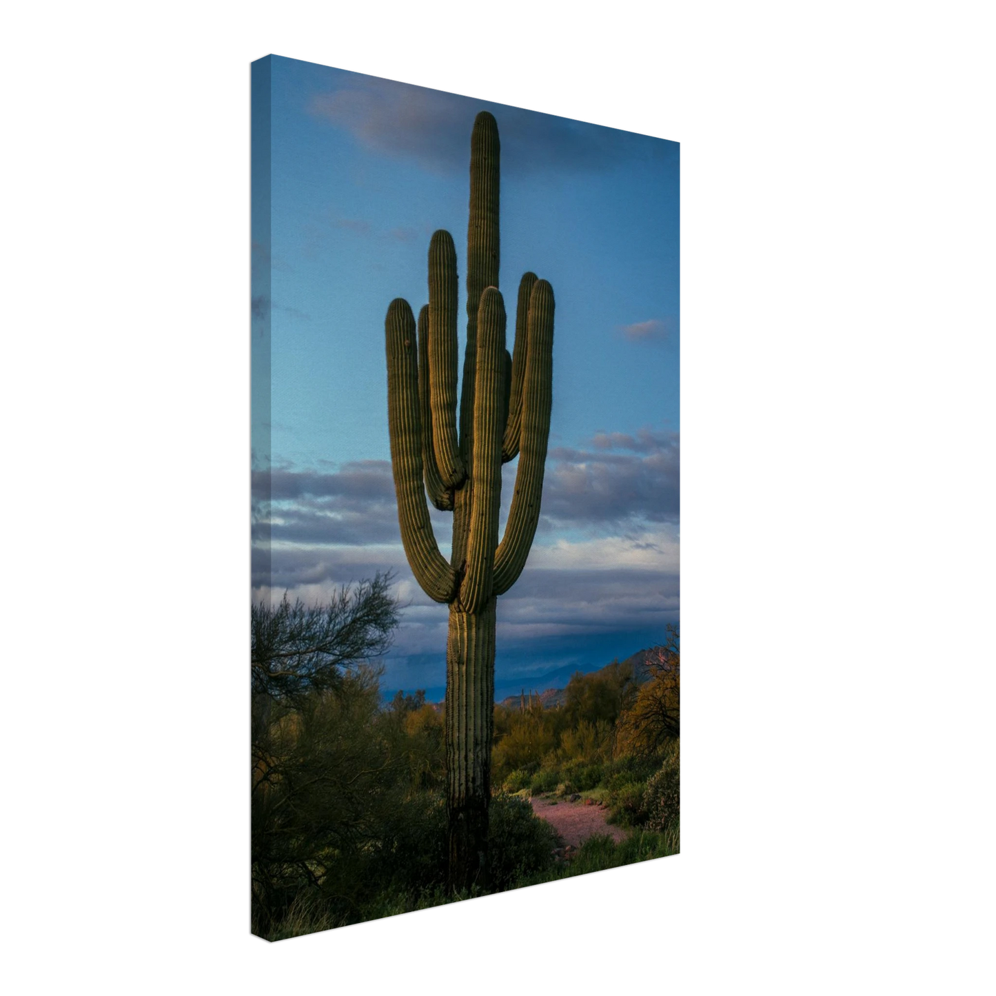 0be8237b-1550-4515-8166-9c4c90b53e90