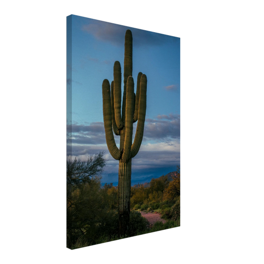 0be8237b-1550-4515-8166-9c4c90b53e90