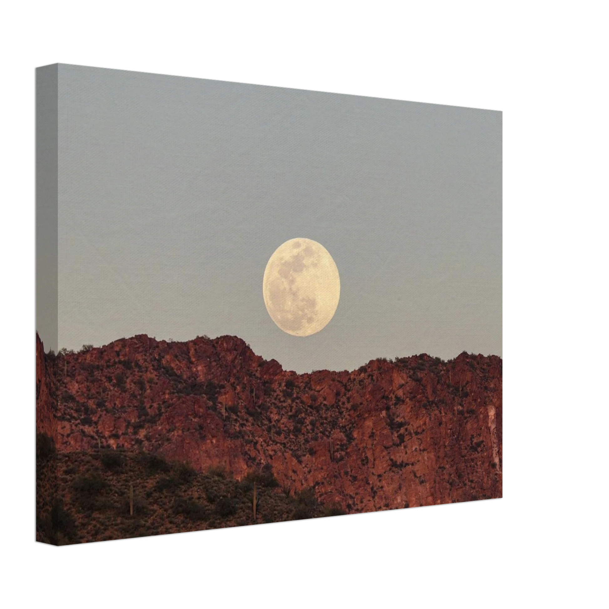 0e946ea1-d936-4152-bf0f-be6470293c9d