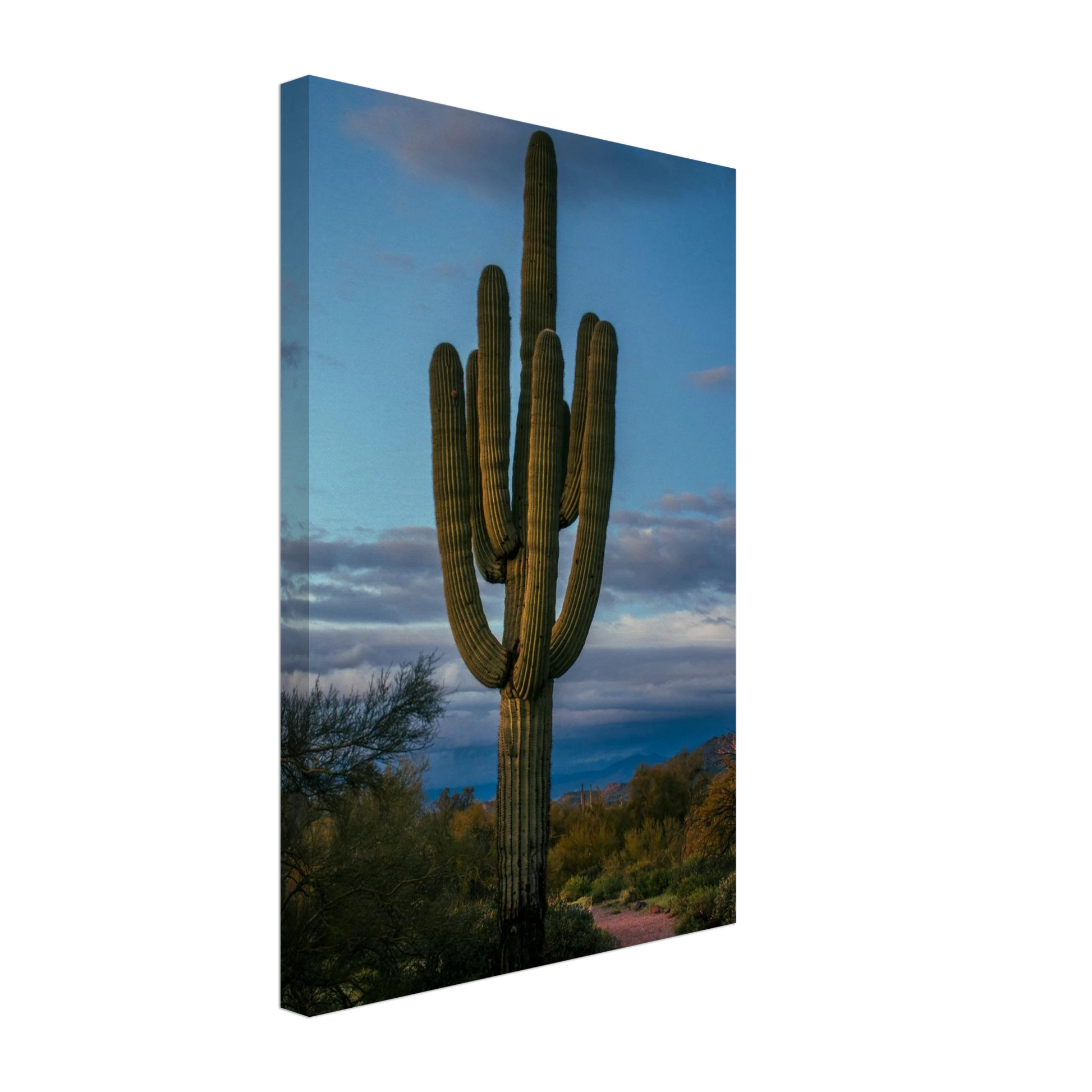 1a836ac4-832c-4e1a-bdeb-82db5c11b734