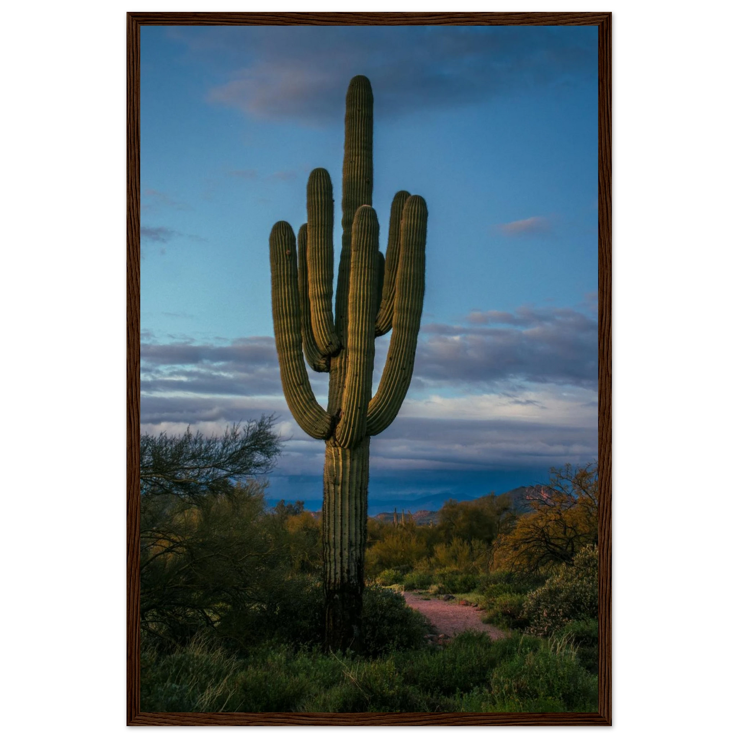 23ee52f2-83ec-49e8-a884-0df07aac9151