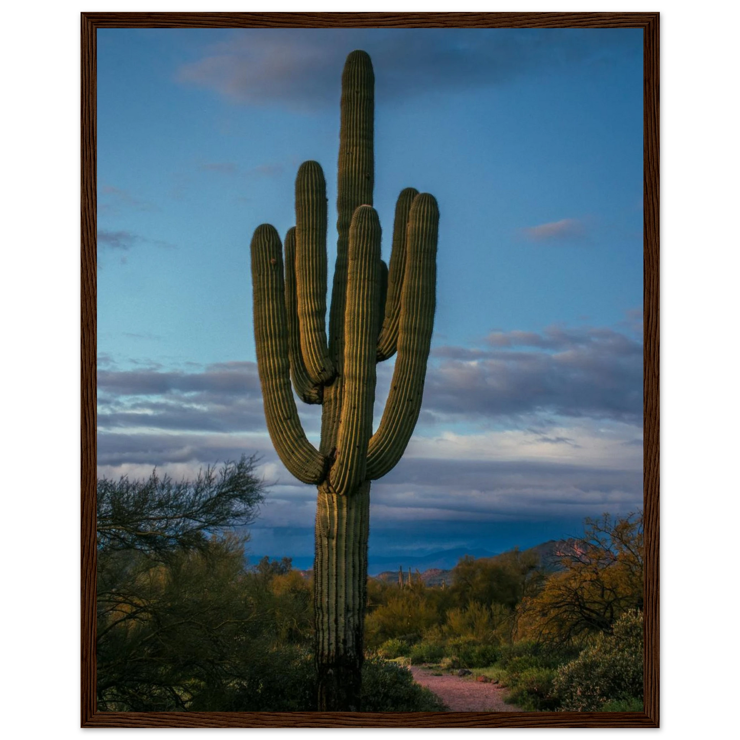 75f93b0a-647d-49e7-b15a-c05aea3fd843