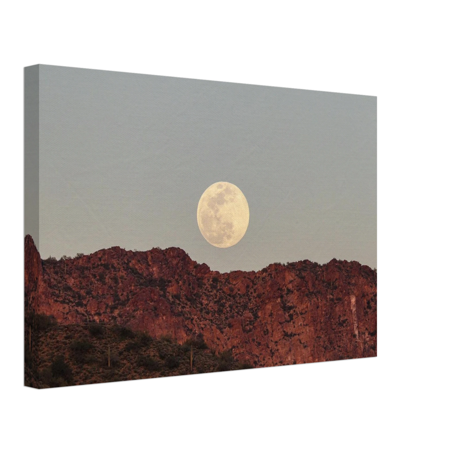 942dd345-5cde-4273-ac76-b699cb363295