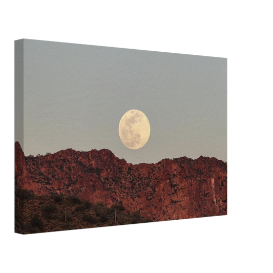 942dd345-5cde-4273-ac76-b699cb363295