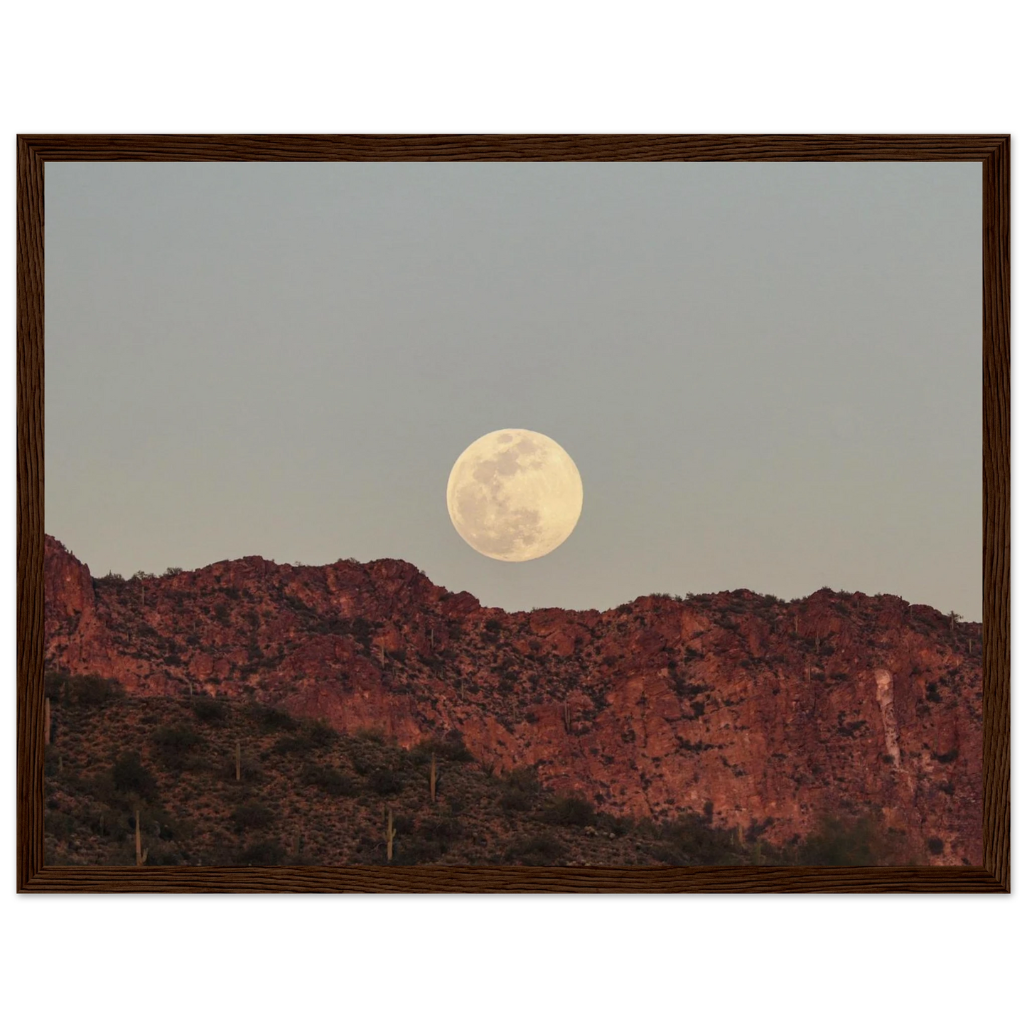 95850b2a-a4ab-44f7-b21f-b901acc1f951