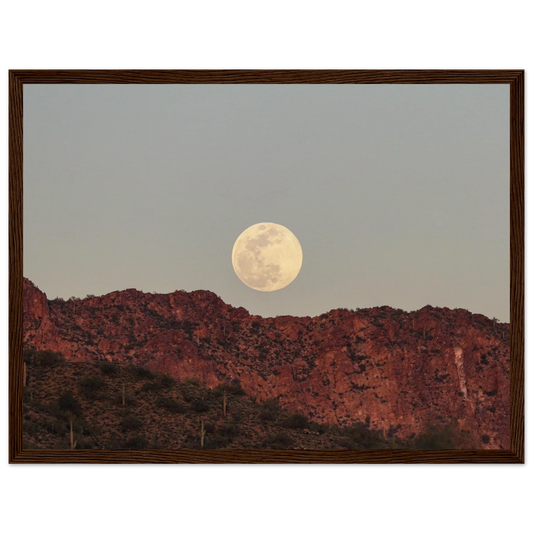 95850b2a-a4ab-44f7-b21f-b901acc1f951