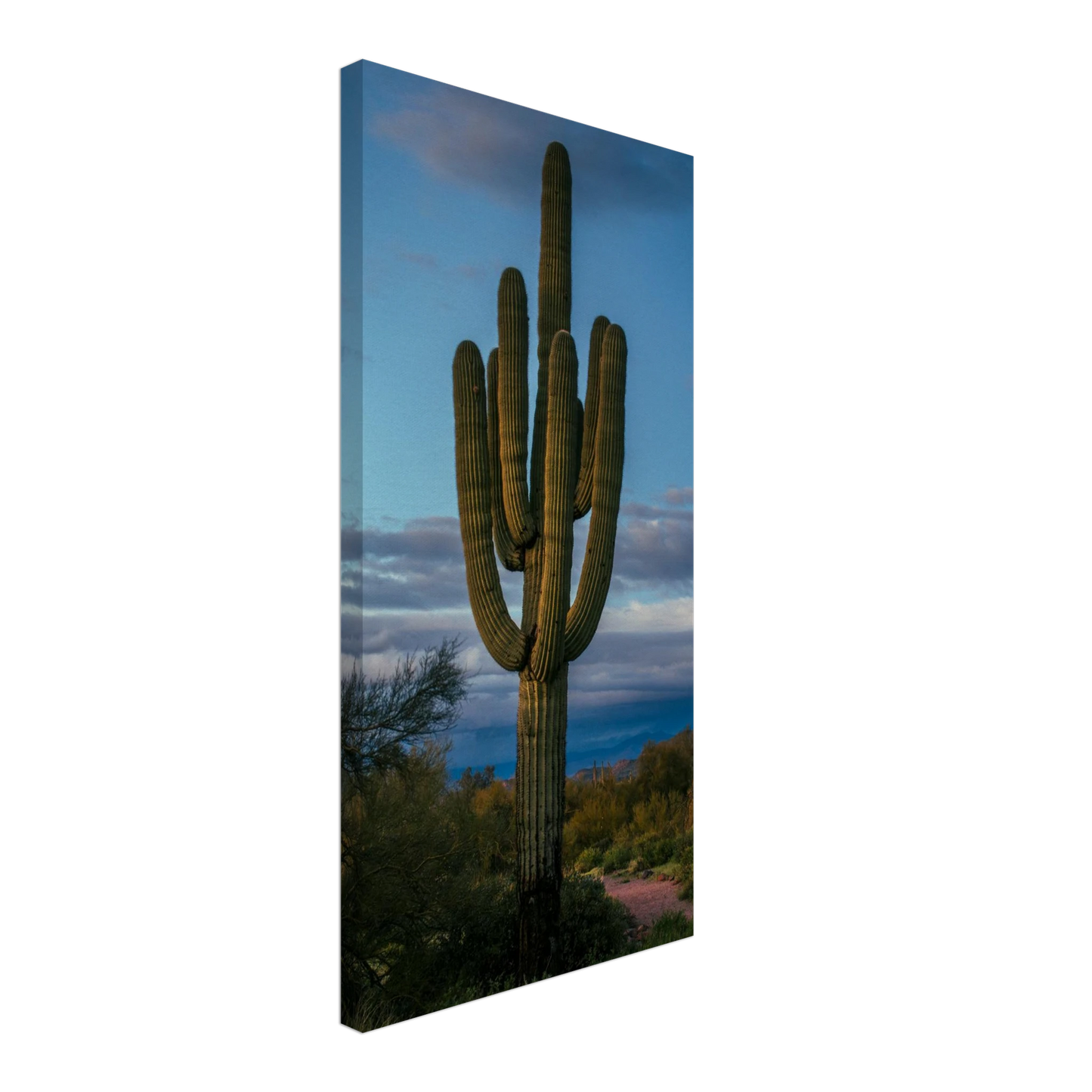 9eb183d9-1817-4836-ac59-73b8d8f6c213