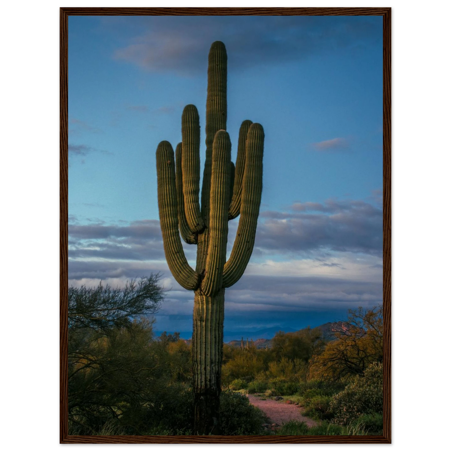 9fc98915-a627-4557-b31c-b047565753c9