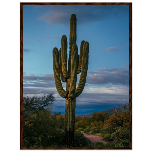 9fc98915-a627-4557-b31c-b047565753c9