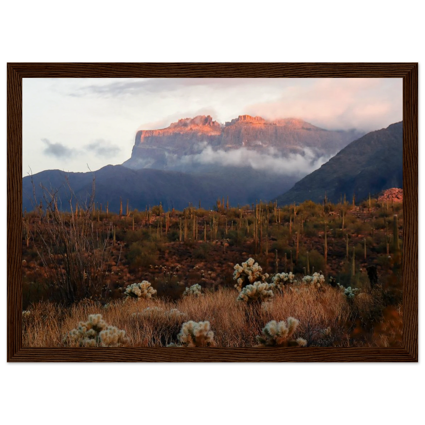 a1be7d35-be95-492a-b5a5-86f44096988d