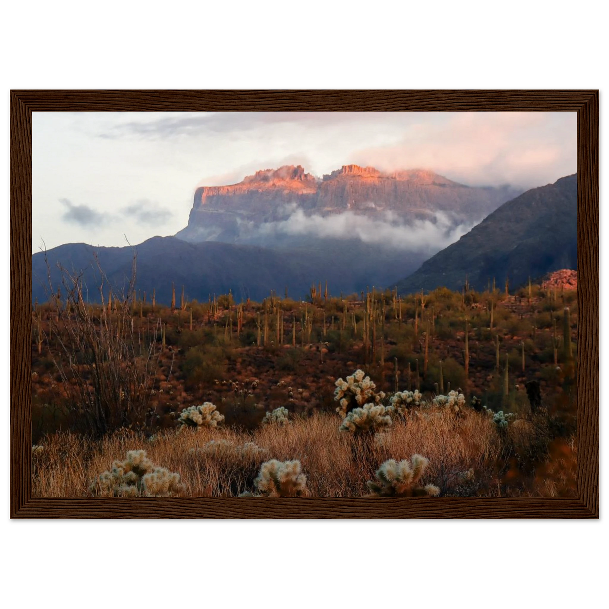 a1be7d35-be95-492a-b5a5-86f44096988d