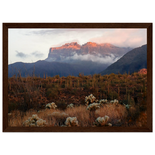 a1be7d35-be95-492a-b5a5-86f44096988d