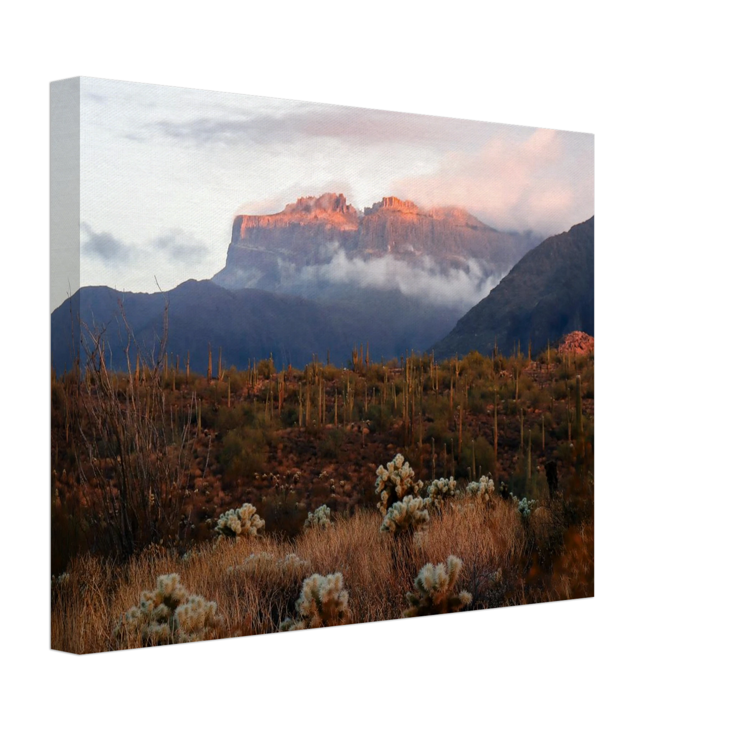 f337466e-6c36-484d-a5a9-57af3bc00924